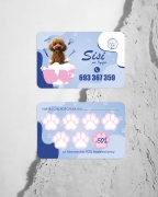 karnety druk, terminarze, terminarzyki, karnety złocone, karnety do pieczątek, terminarz wizyt, karty lojalnościowe druk, projekt terminarza, projekt karnetu, terminarz stomatolog, terminarz kosmetolog, terminarz fryzjer